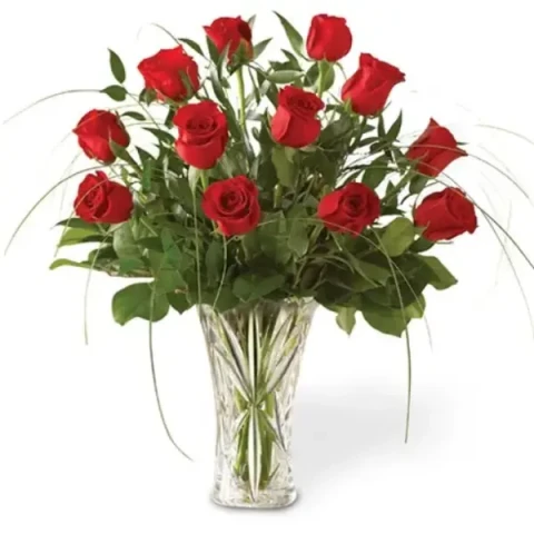 1 dozen red roses in a vase