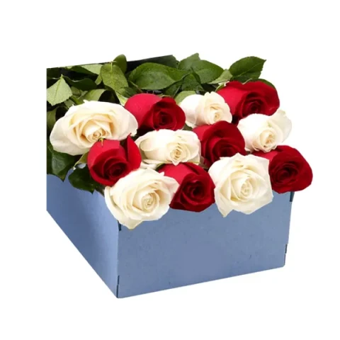 1 dozen off white & red roses mix in a box