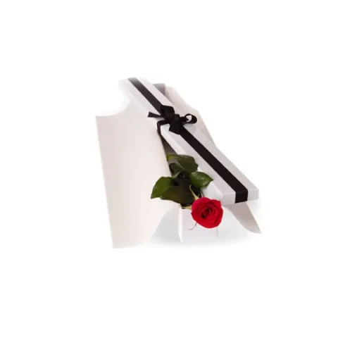 Send Imported single Red Rose in a box to Bangladesh