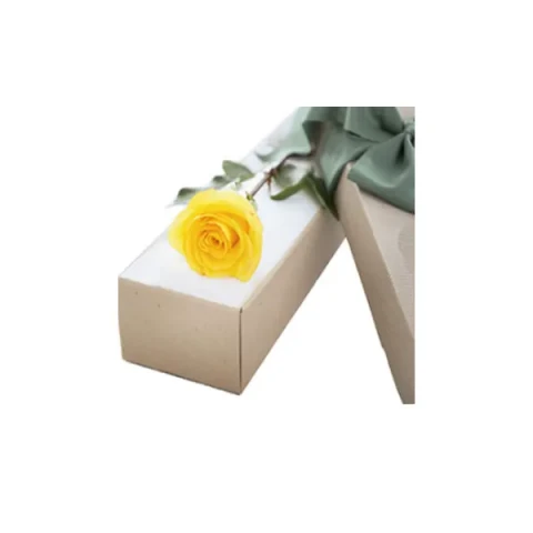 Send Imported single Yellow Rose in a box to Bangladesh