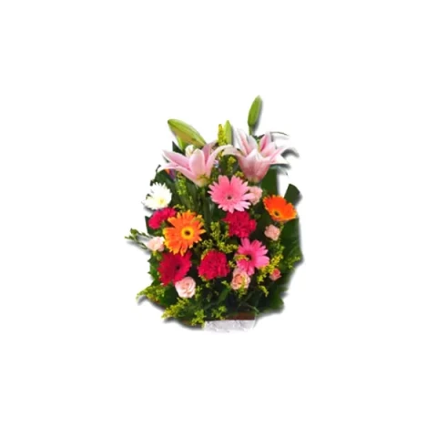 Send mixed flowers to Bangladesh