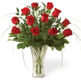1 dozen red roses in a vase
