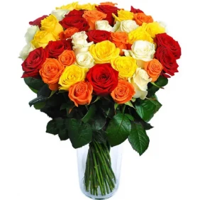 50 pieces multicolor roses in a vase