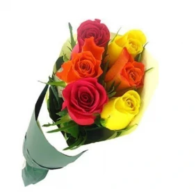 6 pcs multicolor roses in bouquet