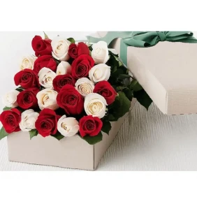 2 dozen off white & red roses mix in a box