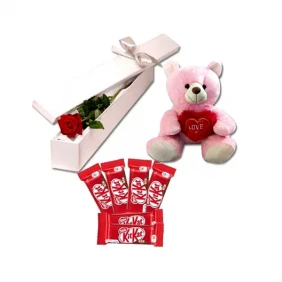 1 Piece Rose W/ Teddy & Kit Kat