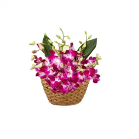 Send Orchids in a Basket to Dhaka