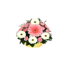 Send Gerbera & Carnations in a Basket to Bangladesh