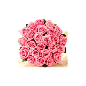 Send imported Pink Roses in a bouquet to Bangladesh