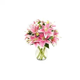 Send Pink Lilies in a vase to Bangladesh